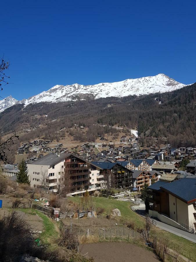 Ferienwohnung Zayetta Ice Cube Nr. 11 Zermatt Zewnętrze zdjęcie